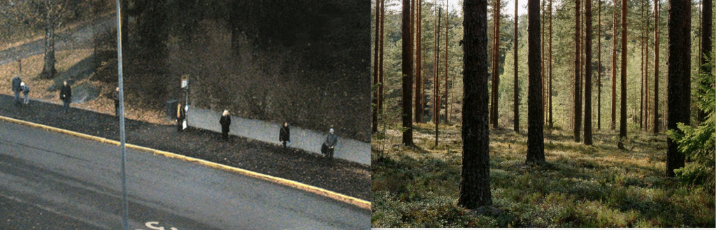 Kuvassa on rinnakkain valokuva suomalaiselta bussipysäkiltä, jossa ihmiset seisovat säntillisesti metrin etäisyydellä toisistaan, sekä suomalaisesta talousmetsästä, jossa puut on taltutettu kasvamaan tasaisin välimatkoin.  